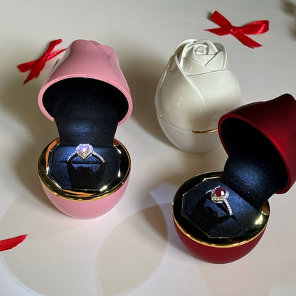 The Glow Bloom – A Rose That Lights the Moment