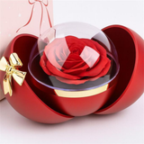 The Reveal Ball – A Gift with a Hidden Surprise