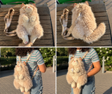 Cute Cat Plush Backpack with Meow Sound 45C.M