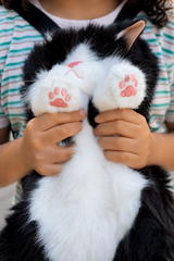 Cute Cat Plush Backpack with Meow Sound 45C.M